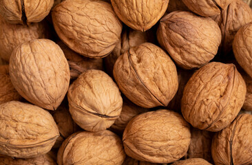 close up of walnuts