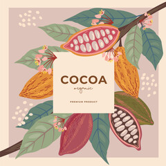 Cocoa bean illustration. Vintage style design template. chocolate cocoa beans. Vector illustration