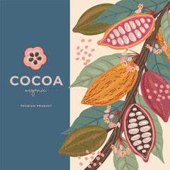 Cocoa bean illustration. Vintage style design template. chocolate cocoa beans. Vector illustration