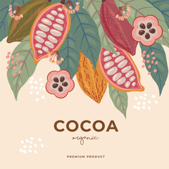 Cocoa bean illustration. Vintage style design template. chocolate cocoa beans. Vector illustration