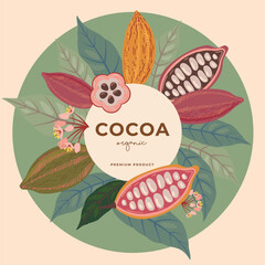 Cocoa bean illustration. Vintage style design template. chocolate cocoa beans. Vector illustration