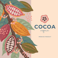 Cocoa bean illustration. Vintage style design template. chocolate cocoa beans. Vector illustration