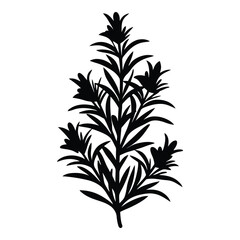 Rosemary plant icon. Simple illustration of rosemary plant vector icon for web