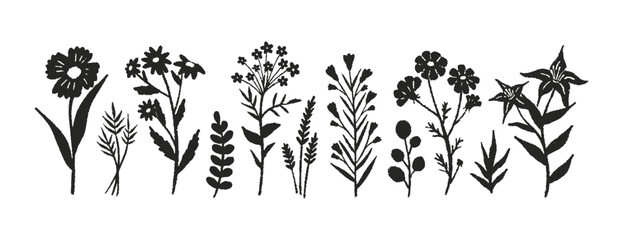 Flowers set hand drawn pencil. Cute simple black doodle art. Floral of wildflower, leaf branch. Blossom illustration for decor, easter, sticker, clipart, print