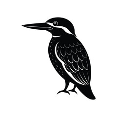kingfisher of a silhouette art