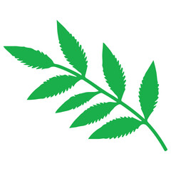 Green Leaf Vector Illustration Symbolizing Nature Freshness and Growth
