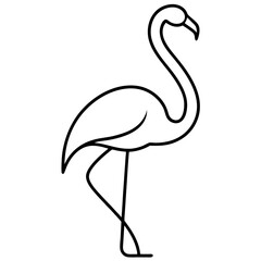 flamingo vector illustration
