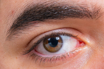 Fototapeta premium Hazel eye with black dark pupil, eyelashes. Close up, macro shot young man's eye with hazel iris. Vision, human anatomy and beauty concept