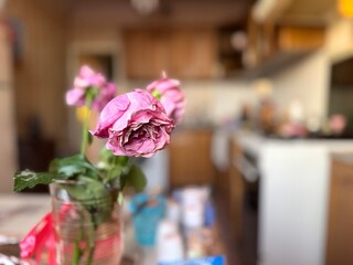 Obraz premium Faded pink roses stand in a vase in the kitchen under the sun's rays