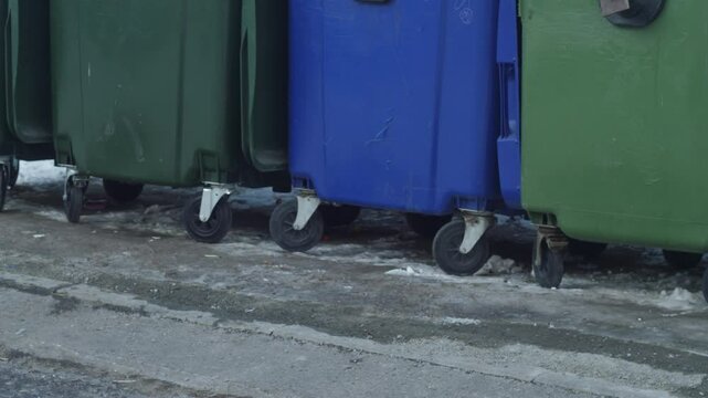 rat runs near garbage containers in search of food, breeding of rats in places of accumulation of garbage