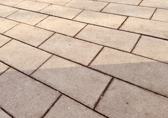 A closeup image of a textured, paved pathway prominently showcasing intricate block patterns and their shadows