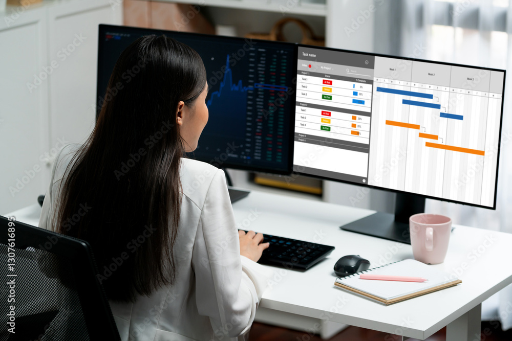 Poster project planning software for brisk business project management on the computer screen showing timel