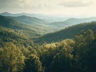 Fototapeta premium Mountain Range Landscape with Trees