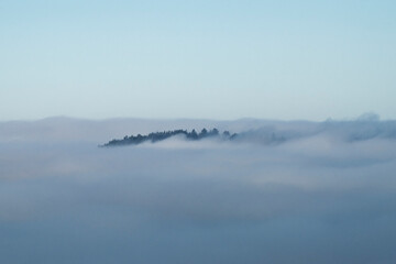 Obraz premium Scenic View of Sea Stacks sticking out of the fog at the Southern Oregon Coast
