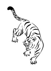 Tiger drawing, vector illustration, black line on a white background