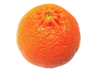 A vibrant, juicy orange sits against a stark white background. Its textured peel and bright color evoke freshness and health.