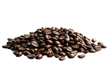 Brewing the perfect cup of coffee a barista's guide to urban coffee culture in a bustling city 