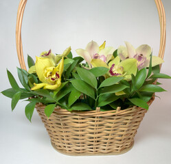 lush bunch of big orchids, pale pink and yellow flowers in woven natural rattan gift basket
