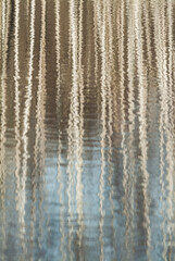 Reflection of trees in the calm waters of a serene lake in Sweden during early spring sunlight