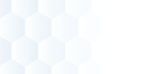 Futuristic Digital Architecture: A Comprehensive Exploration of 3D Hexagonal Grid Patterns in the Context of White and Gray Technological Environments