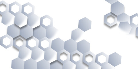 The Geometry of Technology: A Deep Dive into the Aesthetic Appeal of 3D Hexagonal Grids in the Sleek, Minimalist World of White and Gray Digital Design