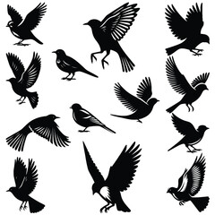 set of silhouettes of birds