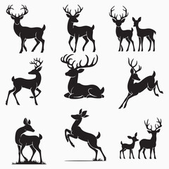 Collection of Graphic black silhouettes of wild deers male, female, and roe deer. Graphic black silhouettes of wild deers – male, female and roe deer