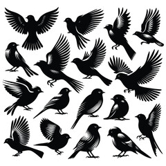 set of birds