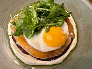Gourmet breakfast with poached egg, smoked salmon, and rye bread, garnished with fresh greens and creamy sauce. A delicious and elegant dish, perfect for brunch or fine dining photography.