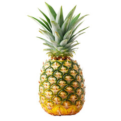 Fototapeta premium Delicious Ripe Pineapple
