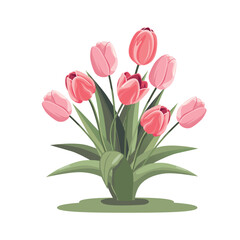 Fototapeta premium Blooming tulips. Vector illustration of pink spring flowers with green leaves