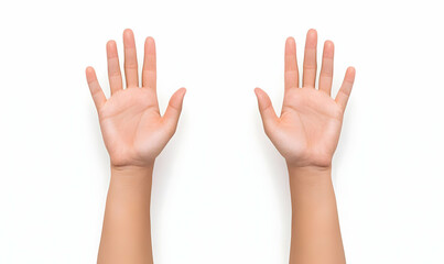 Hands Opened Palms Up Isolated on White Background Studio Shot