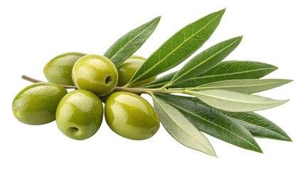 Green Olives Branch with Leaves, Isolated on Transparent Background, Photorealistic, High Resolution, Olive, Branch, Food