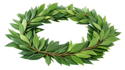 Bay Leaf Wreath Circle, Isolated on Transparent Background, Green Leaves, Botanical, Nature, Laurel, Wreath, Circle