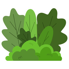 Green trees and bushes gardens park. Ecology plant natural botanic flora