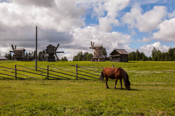 A horse grazes on a green meadow, with windmills in the background