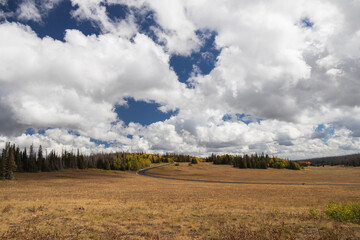 Road through Cedar Breaks National Monument, Utah