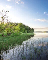 Lake with a forest in the background