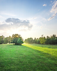 Large field of grass with trees in the background