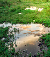 Puddle of water in a field with grass and clouds in the sky
