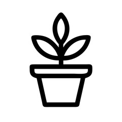 Potted Plant