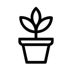 Potted Plant