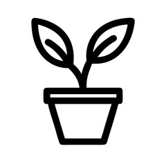 Potted Plant
