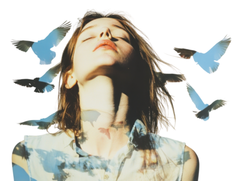 PNG Summer photography birds tranquility.