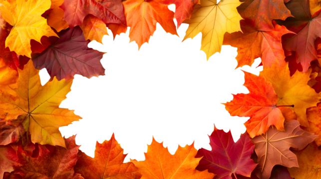  Autumn fall maple leaf leaves leafy, yellow orange red maroon scattered surround on transparent cutout PNG file. Mockup template for design. Wallpaper banner border frame. Overhead flat lay top view