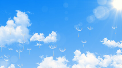 blue sunny sky with clouds and dandelions flying spring nature landscape , sunny summer day bright background