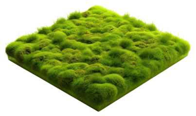 PNG Square moss plant