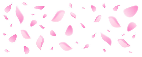 Spring sakura petals flying background. Blossom botanical vector illustration on white backdrop. Cute pastel design