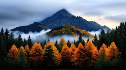 Autumnal Mountain Fog Forest Landscape