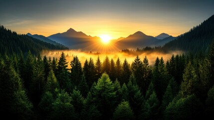 Majestic Sunrise Over Misty Mountain Forest